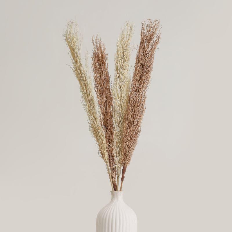 Buy Lizzi Dried Mountain Grass Stick - Set Of Two Artificial Flowers from Vaaree