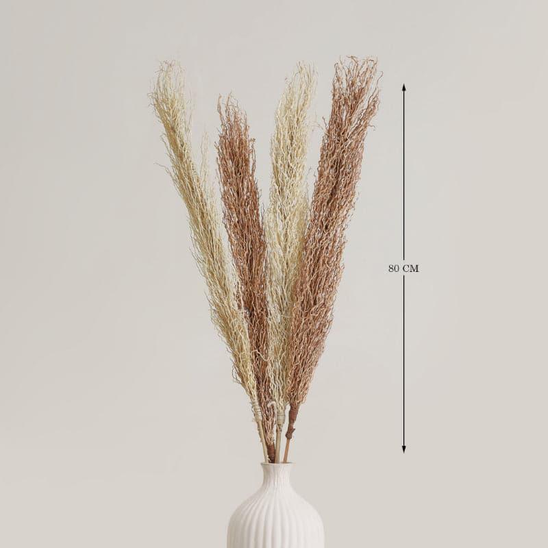 Buy Lizzi Dried Mountain Grass Stick - Set Of Two Artificial Flowers from Vaaree