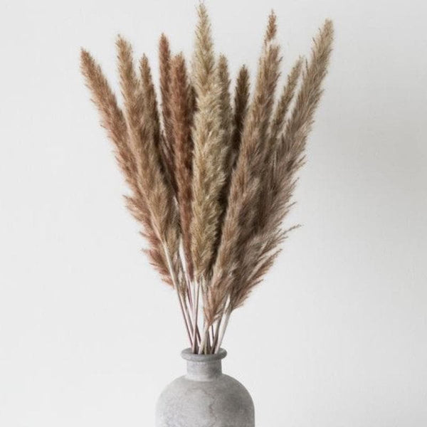 Artificial Flowers - Mini Naturally Dried Pampas (Brown) - Set Of Ten