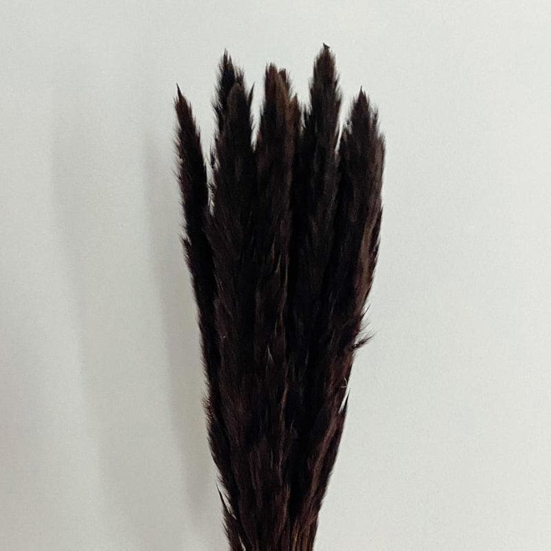 Artificial Flowers - Mini Naturally Dried Pampas Stems (Black) - Set Of Ten