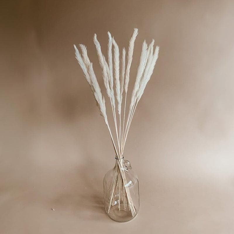 Artificial Flowers - Mini Naturally Dried Pampas Stems (Brown) - Set Of Ten