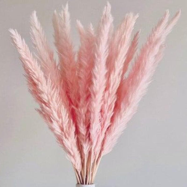 Artificial Flowers - Mini Naturally Dried Pampas Stems (Pink) - Set Of Ten