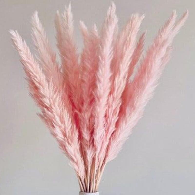 Buy Mini Naturally Dried Pampas Stems (Pink) - Set Of Ten Artificial Flowers from Vaaree