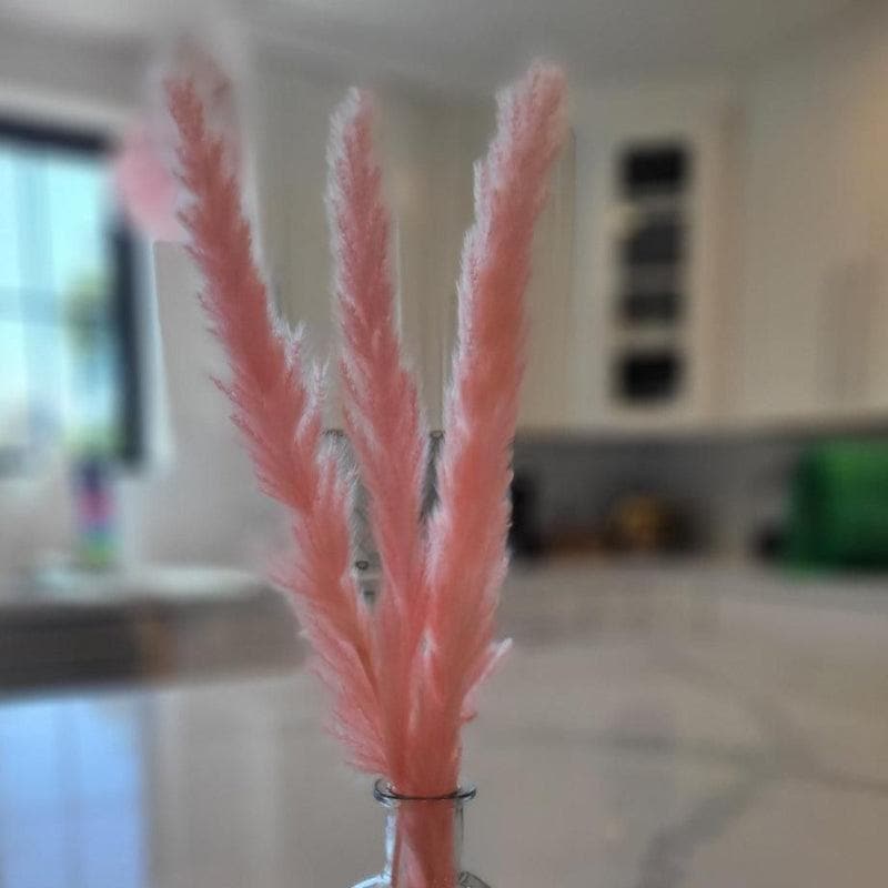 Artificial Flowers - Mini Naturally Dried Pampas Stems (Pink) - Set Of Ten