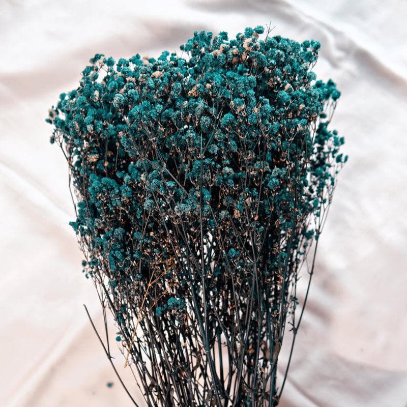 Buy Naturally Dried Baby Breath Gypsophila Stems (Blue) - Set Of Five Artificial Flowers from Vaaree