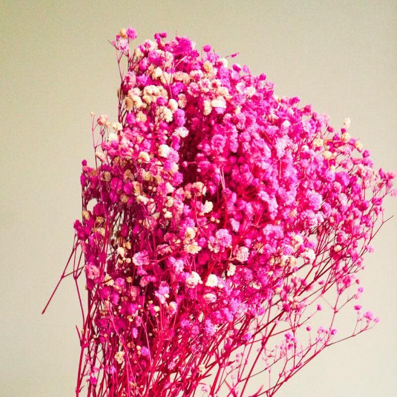 Artificial Flowers - Naturally Dried Baby Breath Stems (Pink) - Set Of Five
