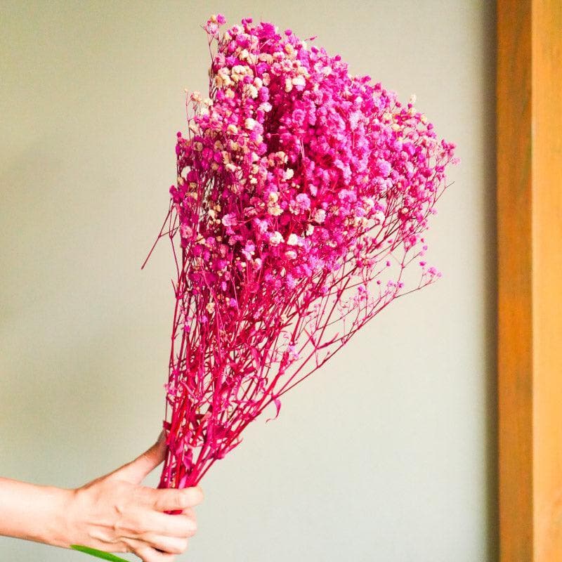 Buy Naturally Dried Baby Breath Gypsophila Stems (Pink) - Set Of Five Artificial Flowers from Vaaree