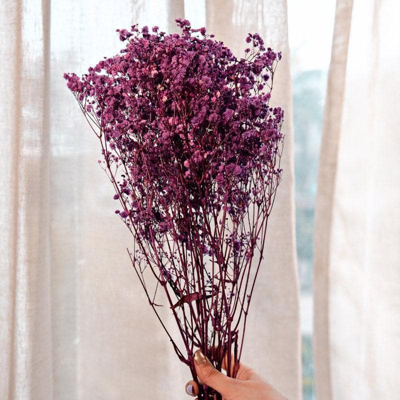 Artificial Flowers - Naturally Dried Baby Breath Stems (Purple) - Set Of Five
