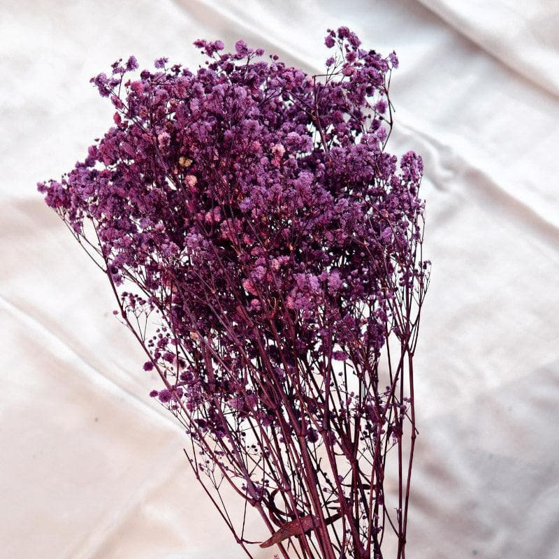 Artificial Flowers - Naturally Dried Baby Breath Stems (Purple) - Set Of Five