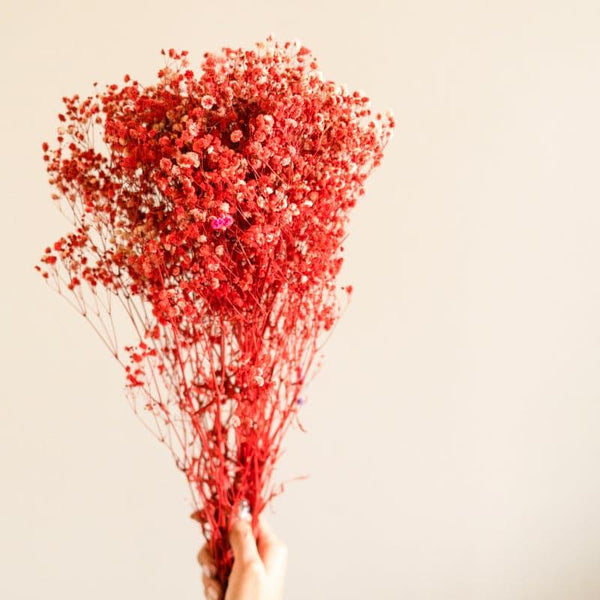 Artificial Flowers - Naturally Dried Baby Breath Stems (Red) - Set Of Five