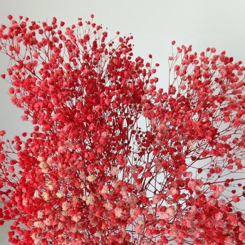 Artificial Flowers - Naturally Dried Baby Breath Stems (Red) - Set Of Five