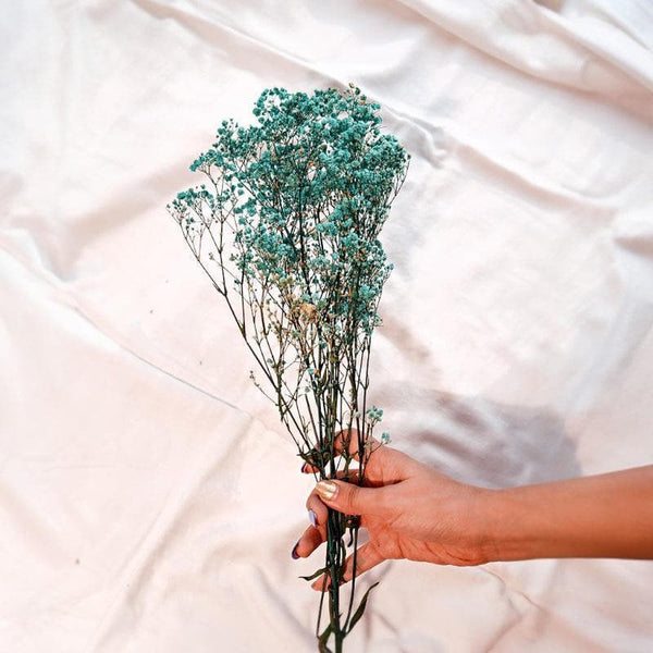Artificial Flowers - Naturally Dried Baby Breath Stems (Turquoise) - Set Of Five
