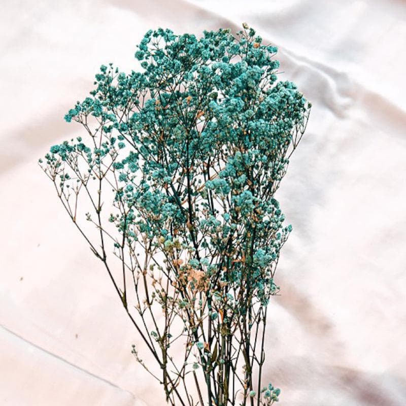 Buy Naturally Dried Baby Breath Gypsophila Stems (Turquoise) - Set Of Five Artificial Flowers from Vaaree