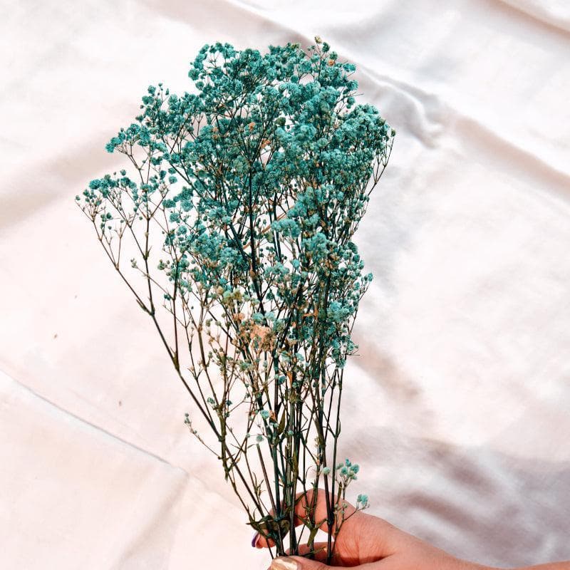 Buy Naturally Dried Baby Breath Gypsophila Stems (Turquoise) - Set Of Five Artificial Flowers from Vaaree