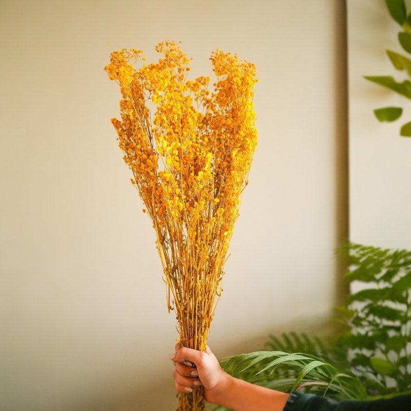 Buy Naturally Dried Baby Breath Gypsophila Stems (Yellow) - Set Of Five Artificial Flowers from Vaaree