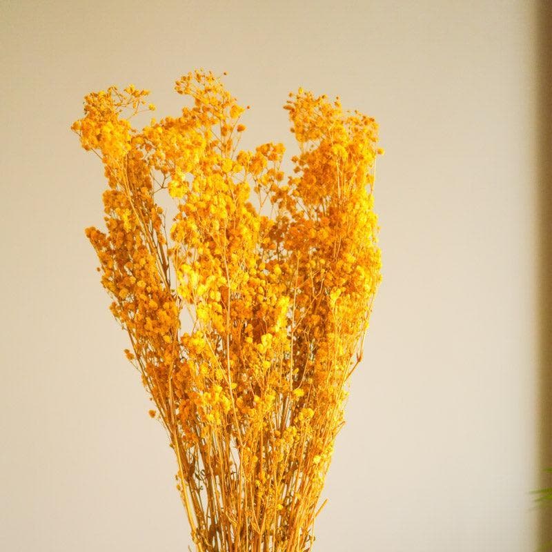 Buy Naturally Dried Baby Breath Gypsophila Stems (Yellow) - Set Of Five Artificial Flowers from Vaaree