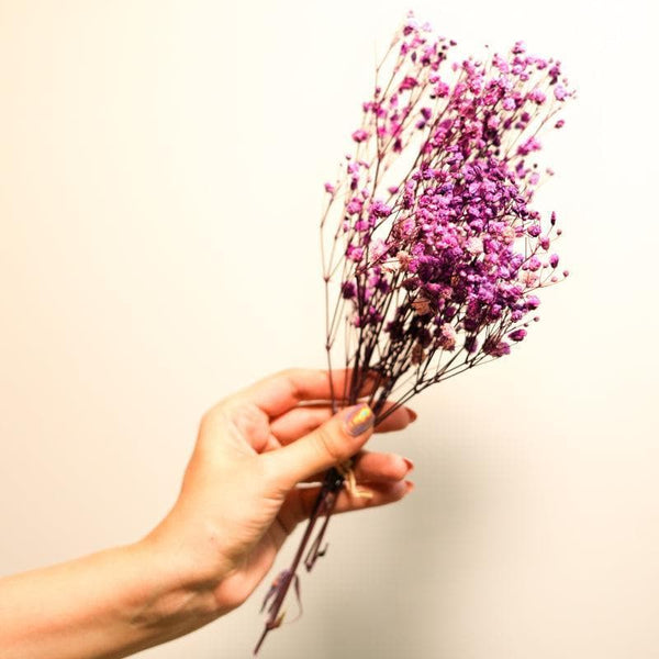 Artificial Flowers - Naturally Dried Baby's Breath Bunch (Purple) - Set Of Five