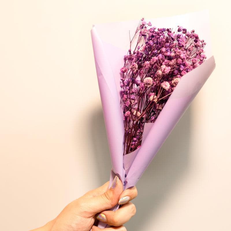 Buy Naturally Dried Baby's Breath Gypsophila Bunch (Purple) - Set Of Five Artificial Flowers from Vaaree