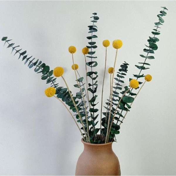 Artificial Flowers - Naturally Dried Billy Ball And Eucalyptus Flower Bunch - Set Of Fifteen