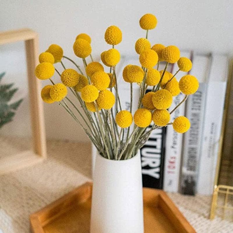 Buy Naturally Dried Billy Pompom Ball Stems - Set Of Ten Artificial Flowers from Vaaree