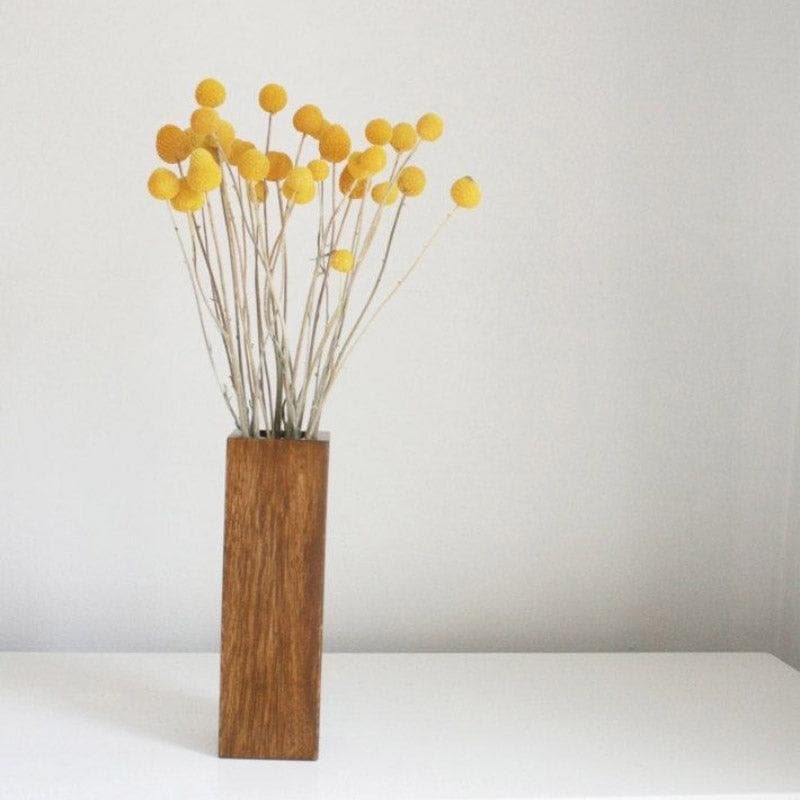 Buy Naturally Dried Billy Pompom Ball Stems - Set Of Ten Artificial Flowers from Vaaree