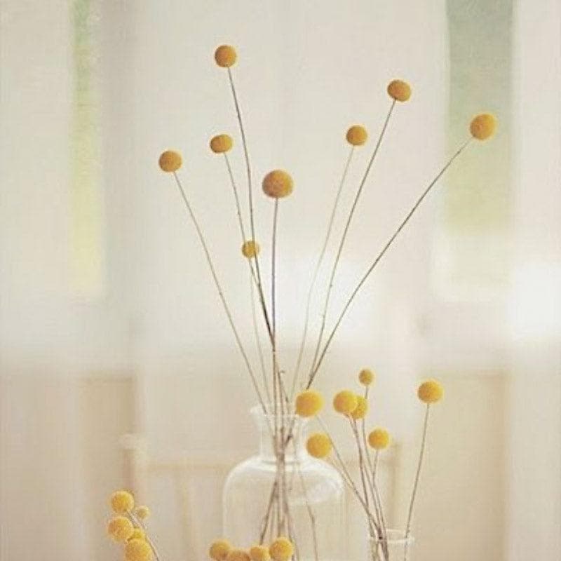 Artificial Flowers - Naturally Dried Billy Ball Stems - Set Of Ten