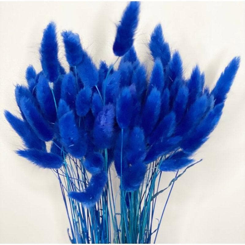 Buy Naturally Dried Bunny Tail Stems (Blue) - Set Of Fifty Artificial Flowers from Vaaree