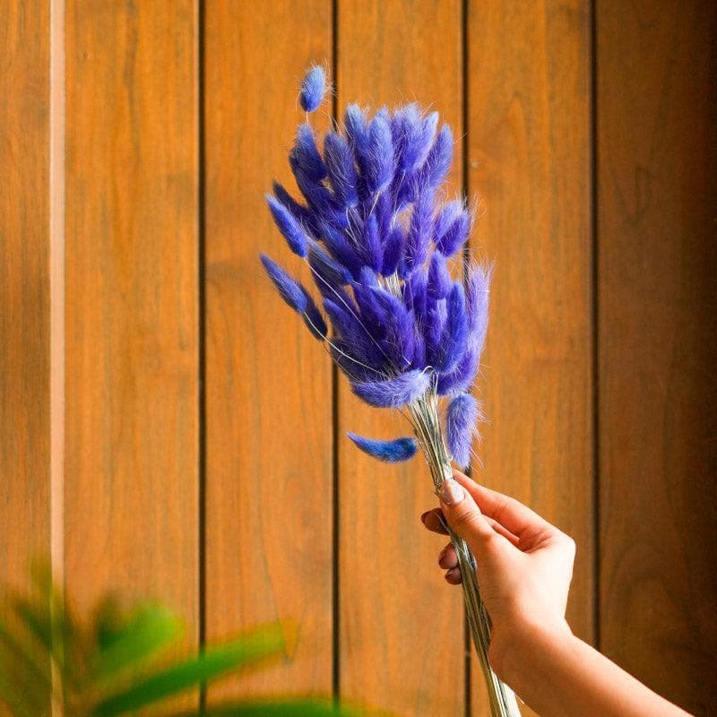 Artificial Flowers - Naturally Dried Bunny Tail Stems (Blue) - Set Of Fifty