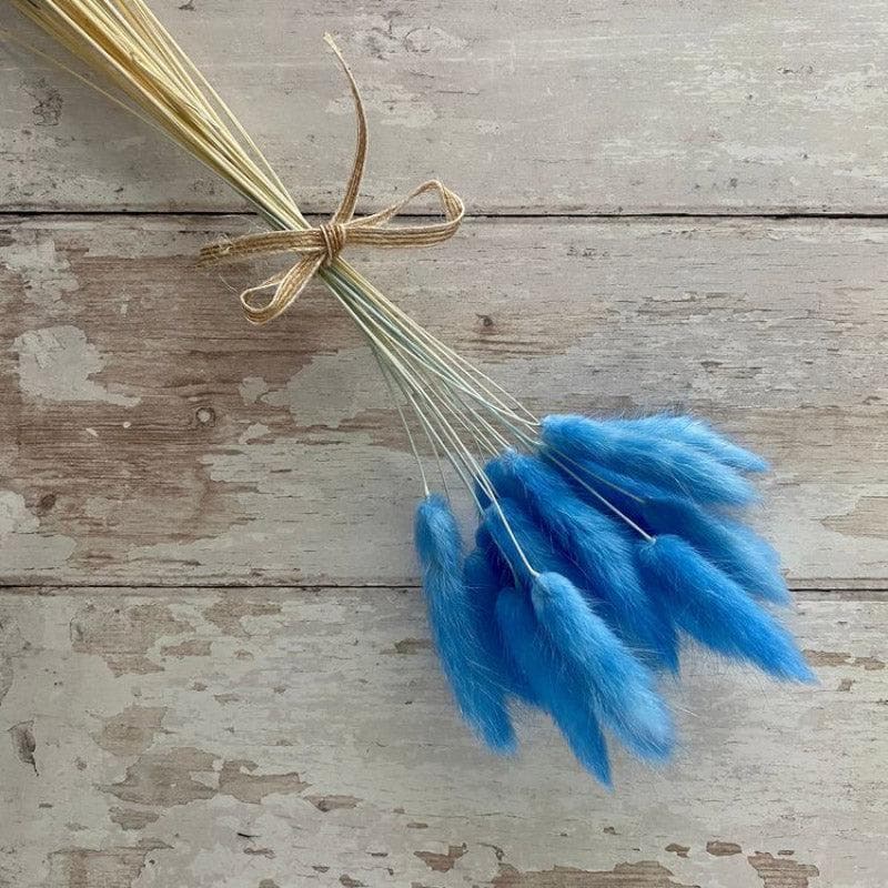 Artificial Flowers - Naturally Dried Bunny Tail Stems (Blue) - Set Of Fifty