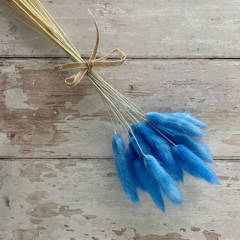 Buy Naturally Dried Bunny Tail Stems (Blue) - Set Of Fifty Artificial Flowers from Vaaree