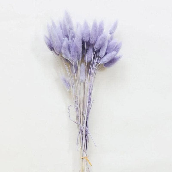 Artificial Flowers - Naturally Dried Bunny Tail Stems (Lilac) - Set Of Fifty