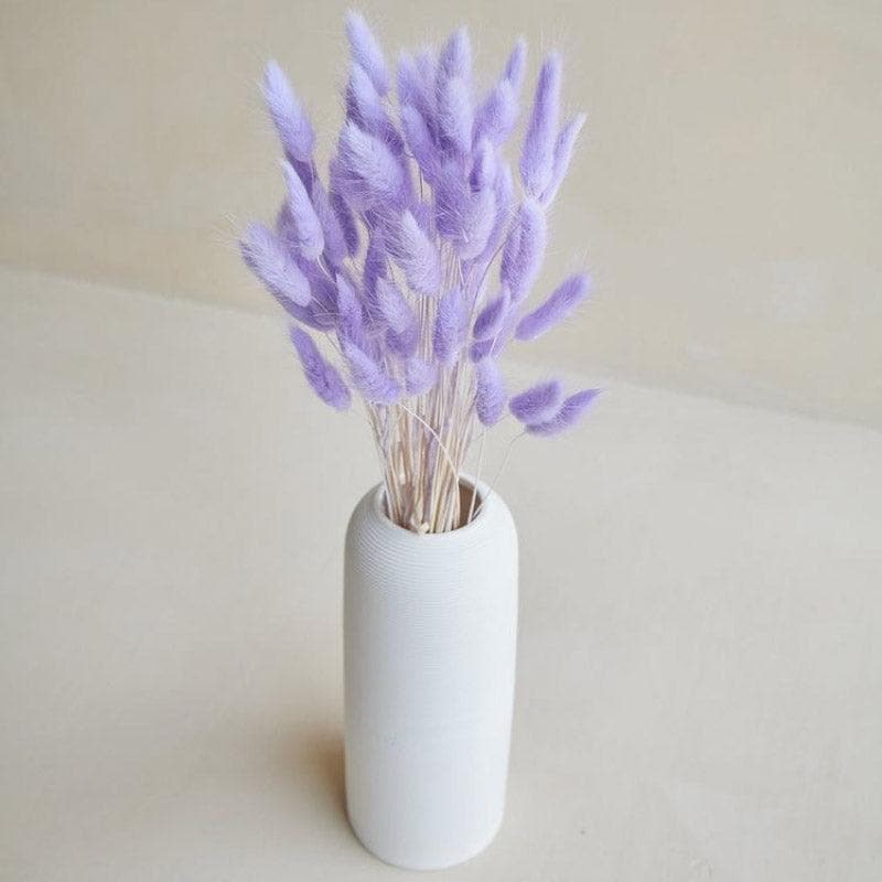 Buy Naturally Dried Bunny Tail Stems (Lilac) - Set Of Fifty Artificial Flowers from Vaaree