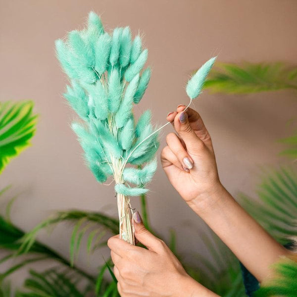 Artificial Flowers - Naturally Dried Bunny Tail Stems (Mint Green) - Set Of Fifty