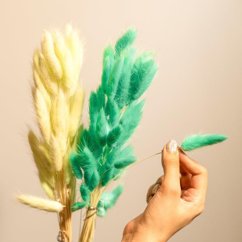 Buy Naturally Dried Bunny Tail Stems (Mint Green) - Set Of Fifty Artificial Flowers from Vaaree