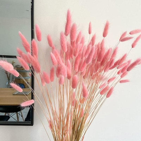 Artificial Flowers - Naturally Dried Bunny Tail Stems (Pink) - Set Of Fifty