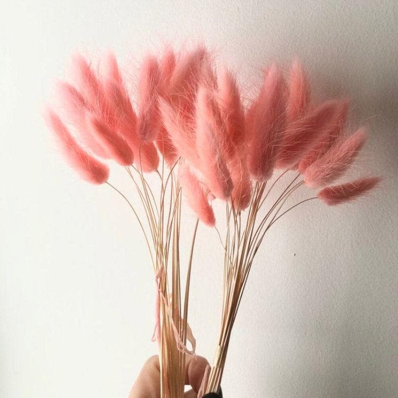 Buy Naturally Dried Bunny Tail Stems (Pink) - Set Of Fifty Artificial Flowers from Vaaree