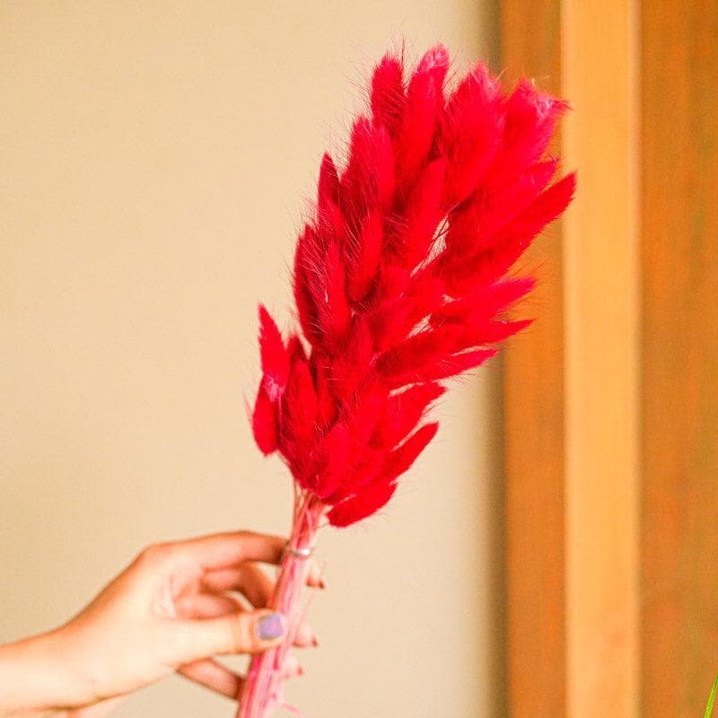 Artificial Flowers - Naturally Dried Bunny Tail Stems (Red) - Set Of Fifty