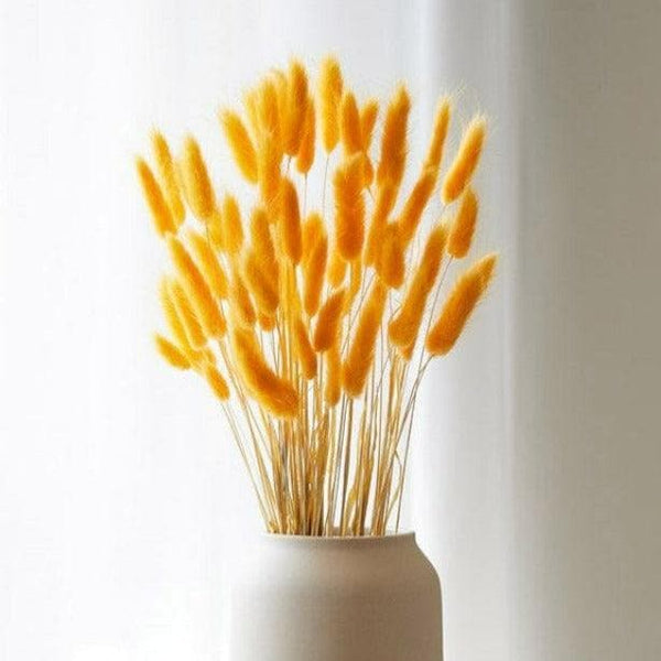 Artificial Flowers - Naturally Dried Bunny Tail Stems (Yellow) - Set Of Fifty