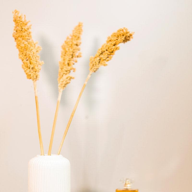 Artificial Flowers - Naturally Dried Corn Flower Bunch - Set OF Five
