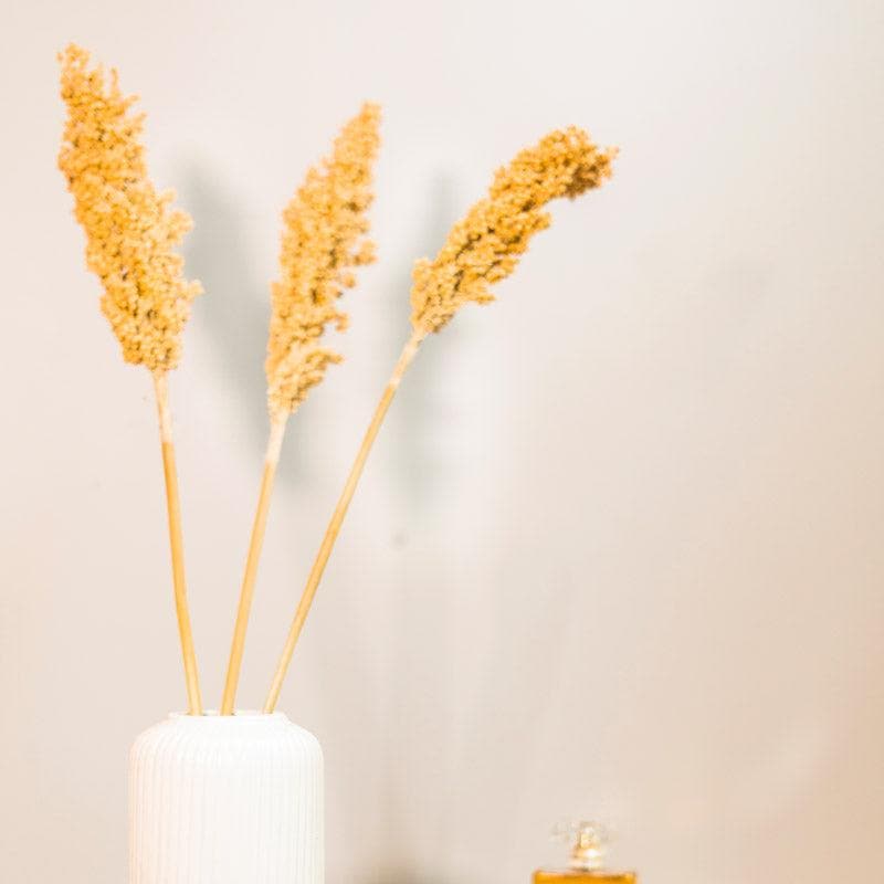 Buy Naturally Dried Corn Flower Bunch - Set OF Five Artificial Flowers from Vaaree