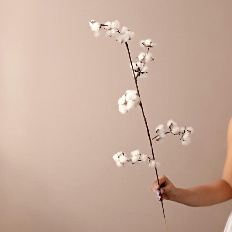 Buy Naturally Dried Cotton Sticks - Set Of Five Artificial Flowers from Vaaree