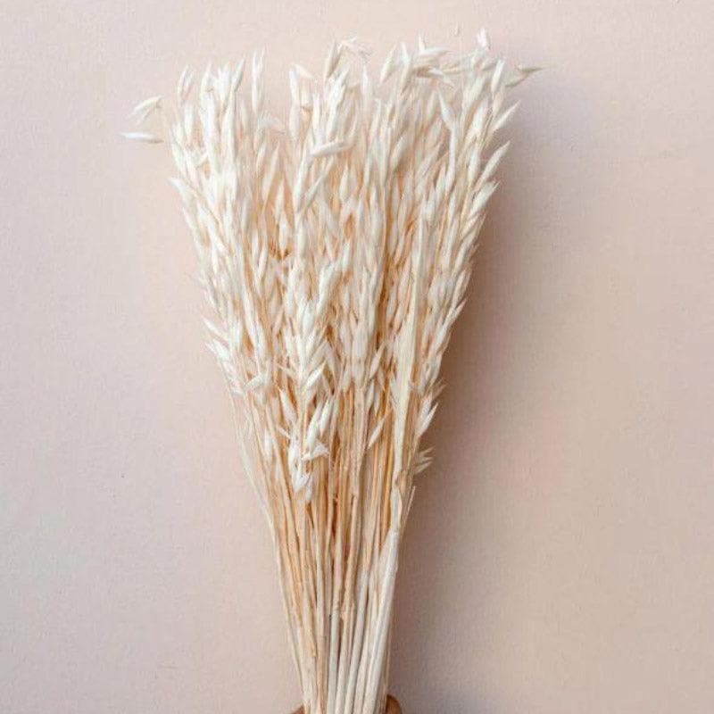 Buy Naturally Dried Oats Millet Grass Stems (Beige)- Set Of Fifty Artificial Flowers from Vaaree