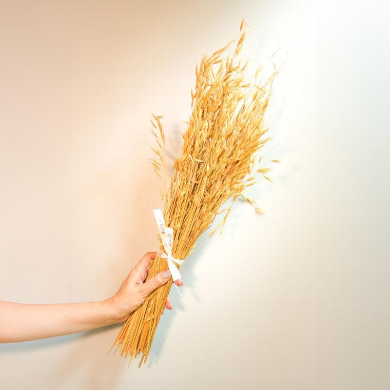 Artificial Flowers - Naturally Dried Oats Grass Stems (Beige)- Set Of Fifty