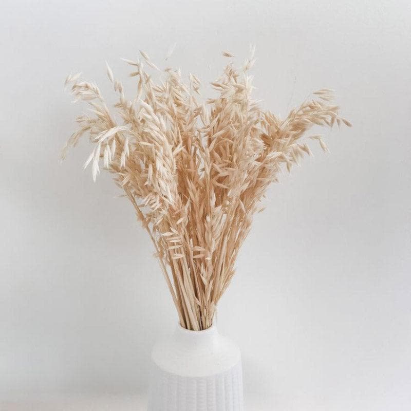 Artificial Flowers - Naturally Dried Oats Grass Stems (Beige)- Set Of Fifty