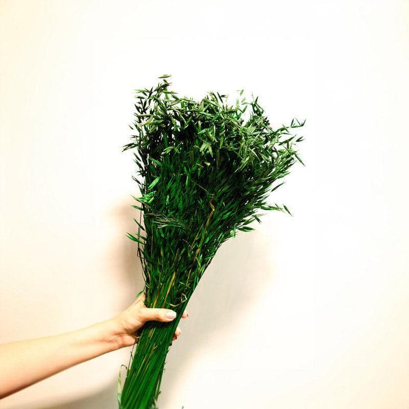 Buy Naturally Dried Oats Millet Grass Stems (Green)- Set Of Fifty Artificial Flowers from Vaaree