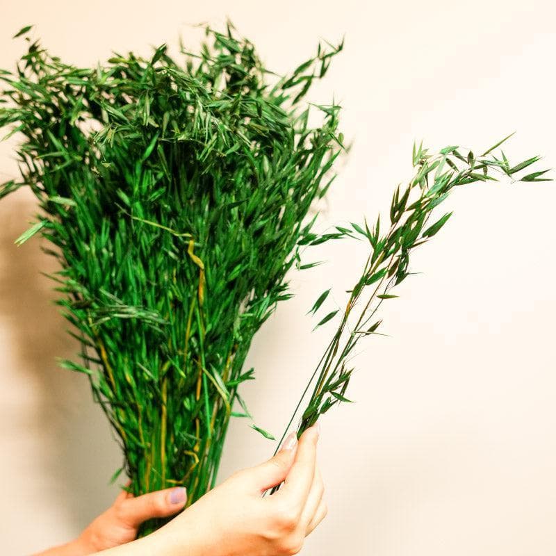 Artificial Flowers - Naturally Dried Oats Grass Stems (Green)- Set Of Fifty
