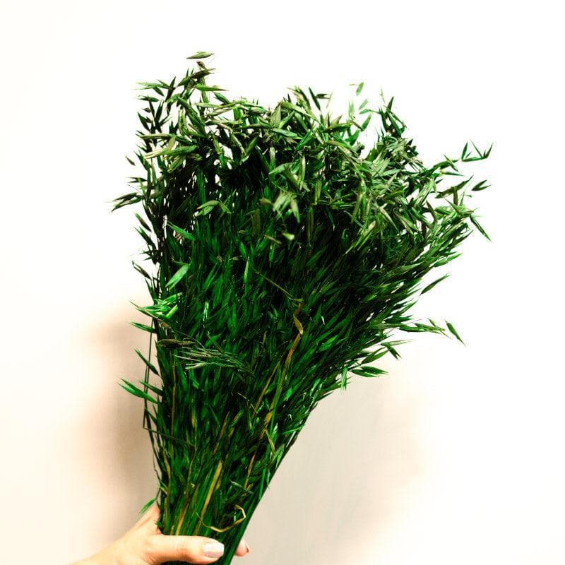 Artificial Flowers - Naturally Dried Oats Grass Stems (Green)- Set Of Fifty