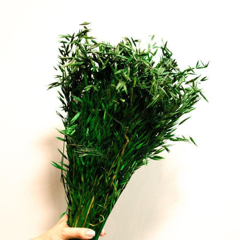 Buy Naturally Dried Oats Millet Grass Stems (Green)- Set Of Fifty Artificial Flowers from Vaaree