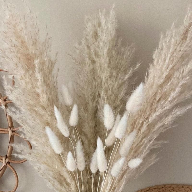 Buy Naturally Dried Pampas And Bunny Tail Flower Bunch - Set Of Fifteen Artificial Flowers from Vaaree