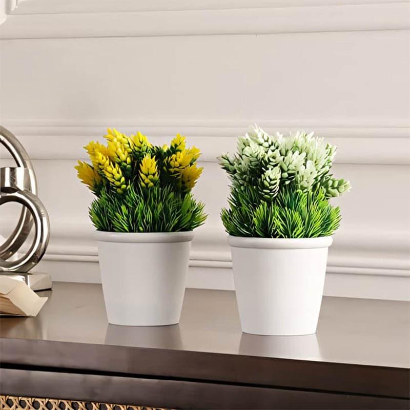 Buy Nuva Faux Plant In Maroe Pot - Set Of Two Artificial Flowers from Vaaree